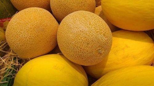 睡睡吃哈密瓜,夏日消暑美食之旅