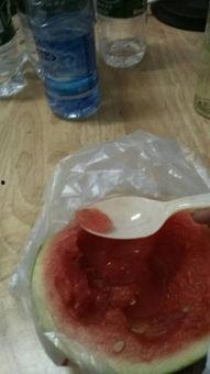 仓鼠可以吃白玉瓜吗