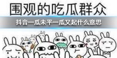 抖音吃瓜原声,揭秘网络热点的背后真相