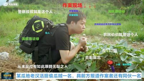 吃瓜罪犯,揭秘背后惊人真相