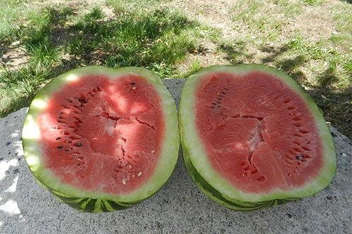 梦见买瓜分瓜吃