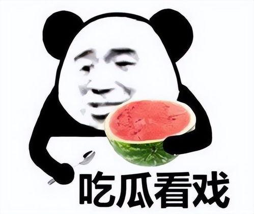 吃瓜纠结表情包,揭秘网络时代的情绪表达新潮流