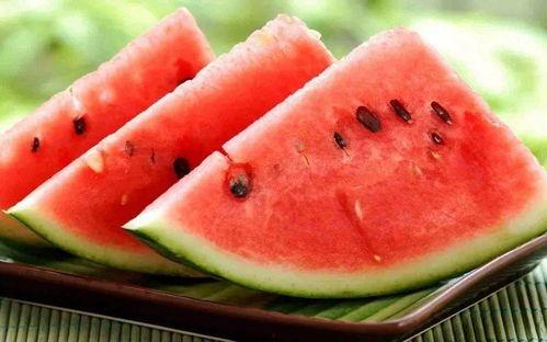 带你吃瓜 送礼,畅享欢乐时光